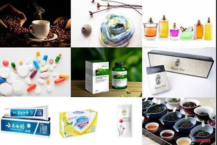 中藥成藥的植物化學(xué) 實(shí)驗(yàn)室里的孤寂與成就